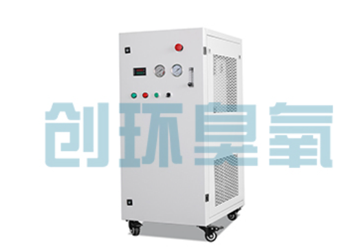 杨浦石斑鱼养殖水质调控完整指南:臭氧发生器配置与操作步骤