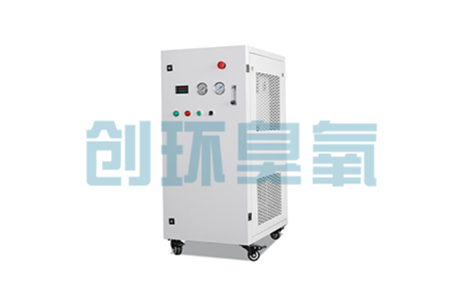 杨浦比传统换水更高效?臭氧发生器在石斑鱼养殖中的水质净化原理解析