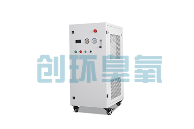 杨浦比传统换水更高效?臭氧发生器在石斑鱼养殖中的水质净化原理解析